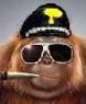 dr-monkey-dre-polizia-large2